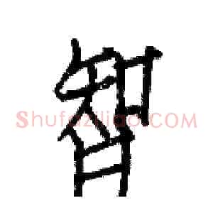 智