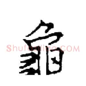 龜