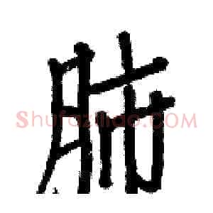 肺