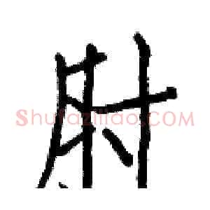 肘