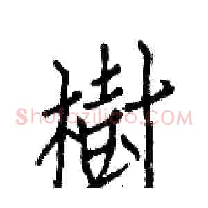 樹