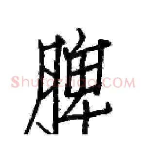 脾