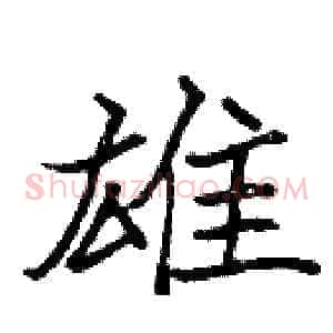 雄