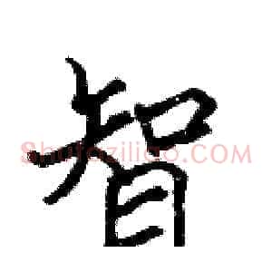 智