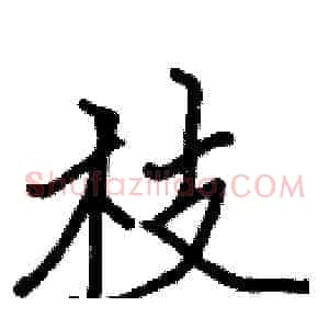 枝