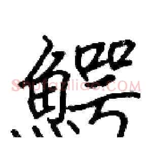鰐