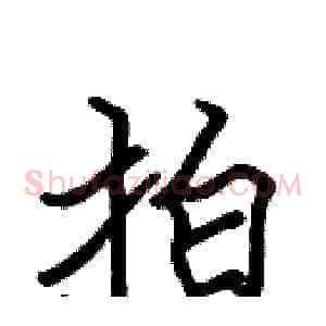 拍