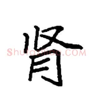 肾