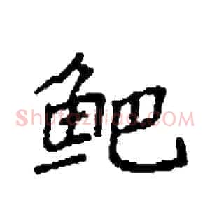 鲃