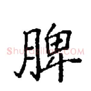 脾