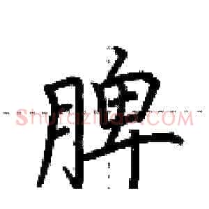 脾