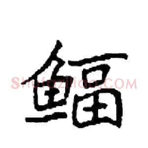 鲾