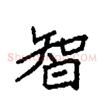 智