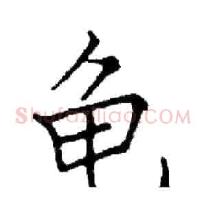 龟