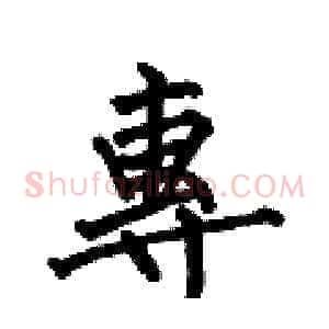 專