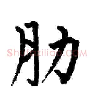 肋