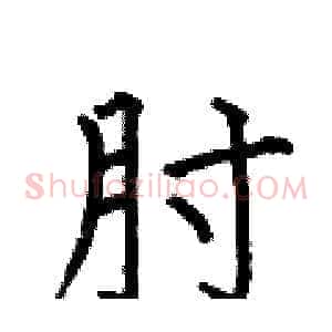 肘