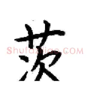茨