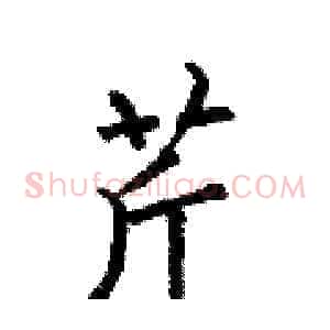 芹
