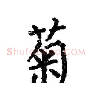 菊