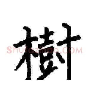 樹