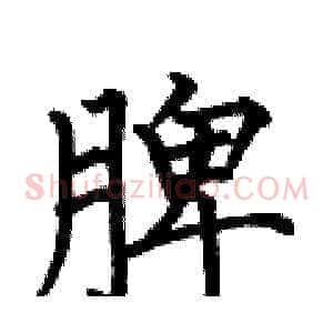 脾
