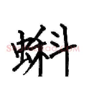 蝌
