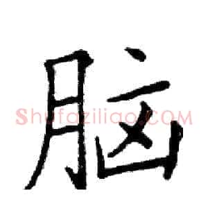 脑