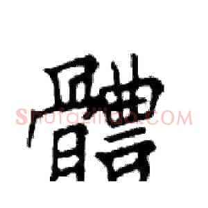體