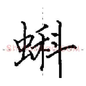 蝌
