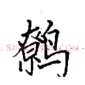 鹩
