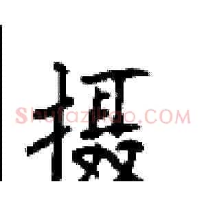 摄