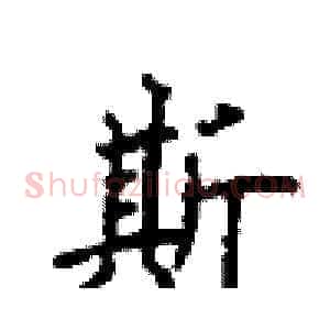 斯