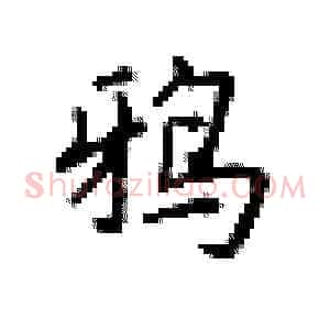 鸦