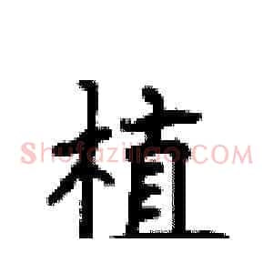 植
