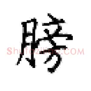 膀