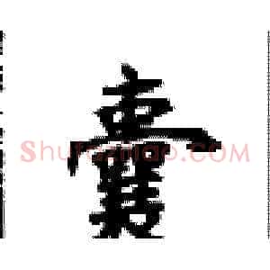 囊