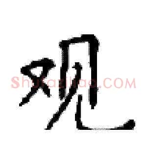观