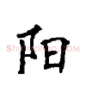 阳