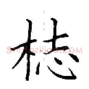 梽