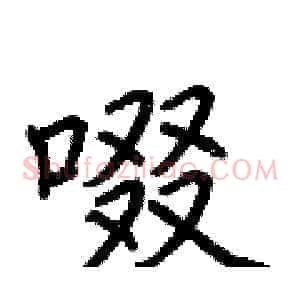 啜