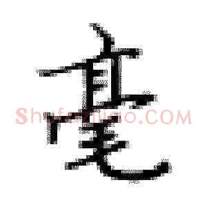 毫