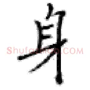 身