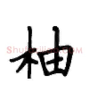 柚