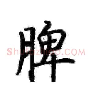 脾