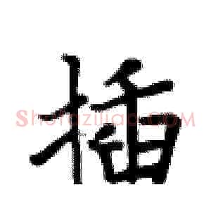 插