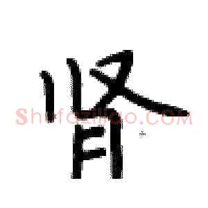 肾