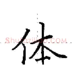 体