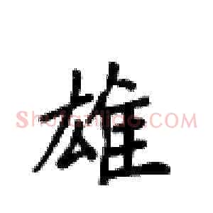 雄
