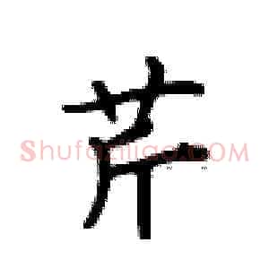 芹